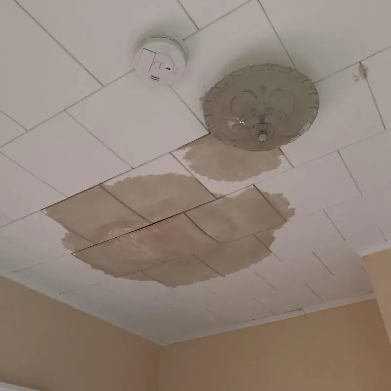 Ceiling Water Damage Repair in Kenneth City, FL